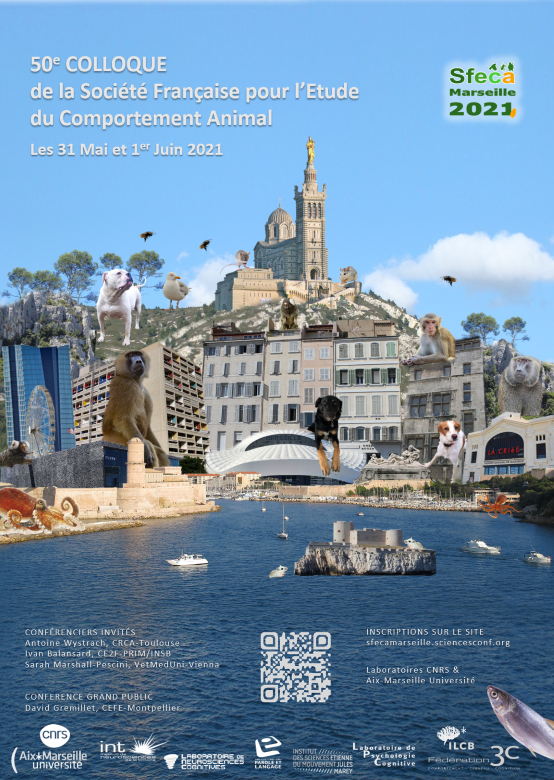 Colloque SFECA MARSEILLE 2021