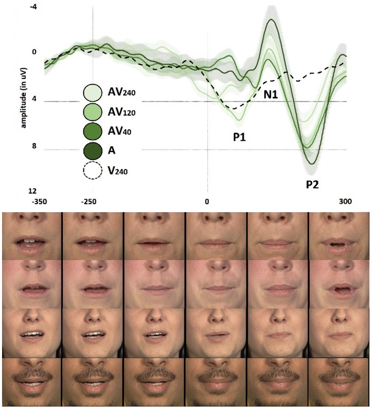 The timing of visual speech modulates auditory neural processing