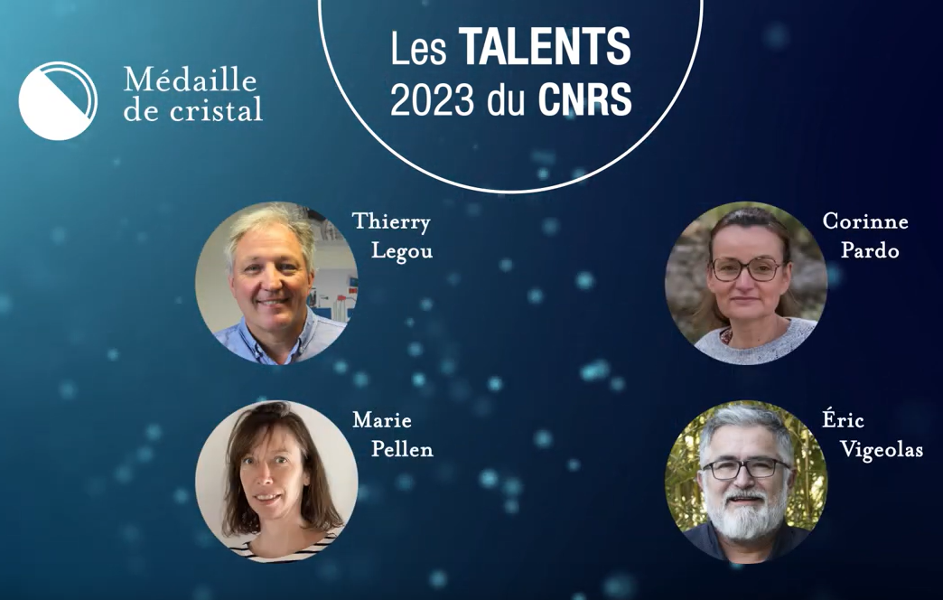 Remise de la médaille de cristal du CNRS à Thierry Legou